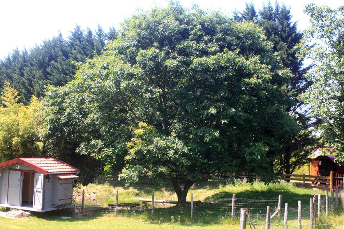 Tente Trappeur Ada, Au Jardin De La Vouivre Saint-Vincent-en-Bresse Luaran gambar