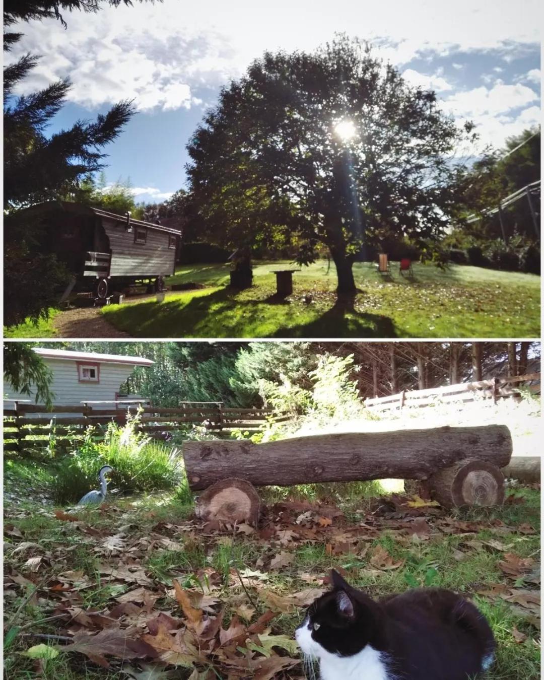 Tente Trappeur Ada, Au Jardin De La Vouivre Saint-Vincent-en-Bresse Luaran gambar