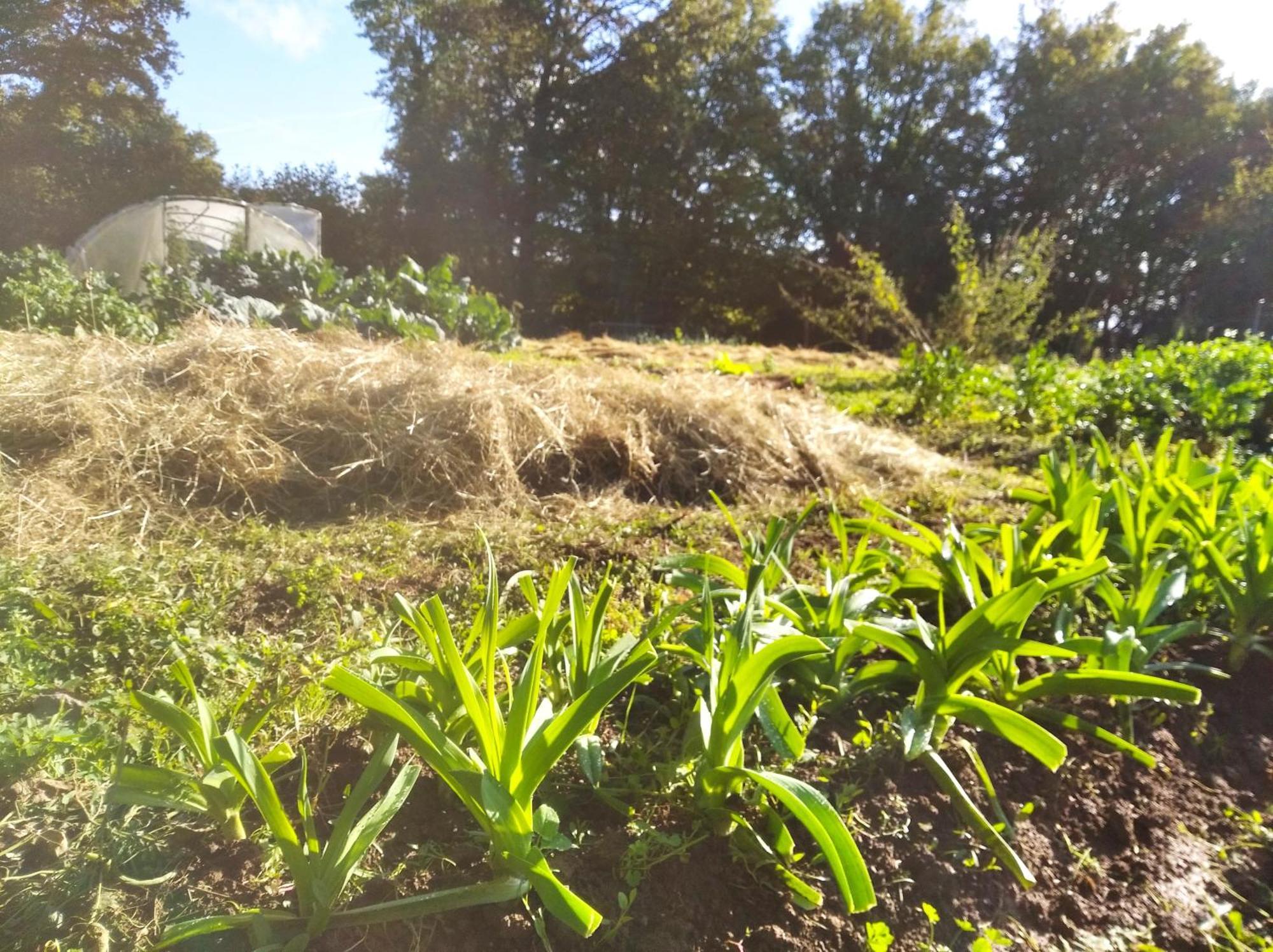 Tente Trappeur Ada, Au Jardin De La Vouivre Saint-Vincent-en-Bresse Luaran gambar