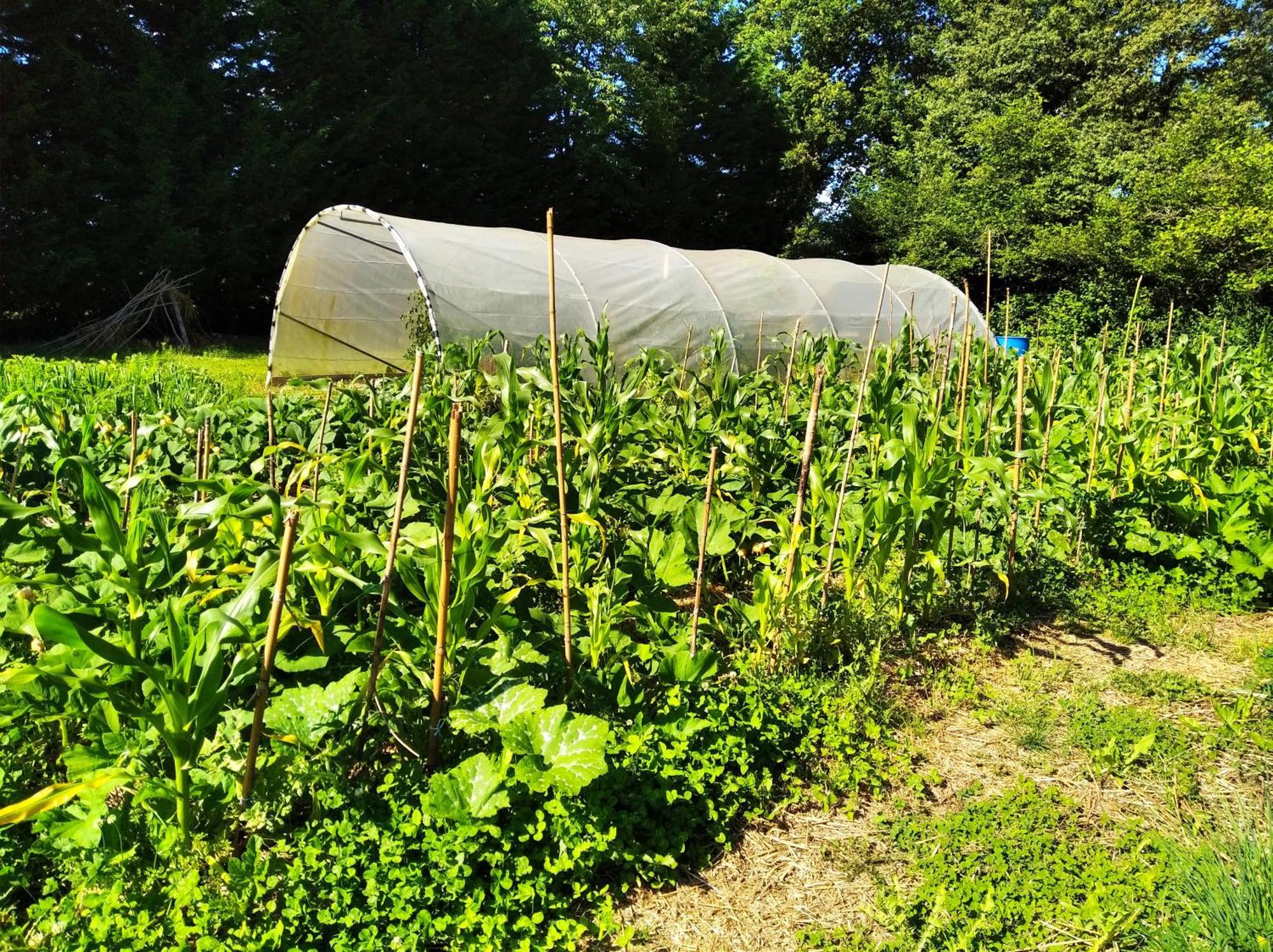 Tente Trappeur Ada, Au Jardin De La Vouivre Saint-Vincent-en-Bresse Luaran gambar