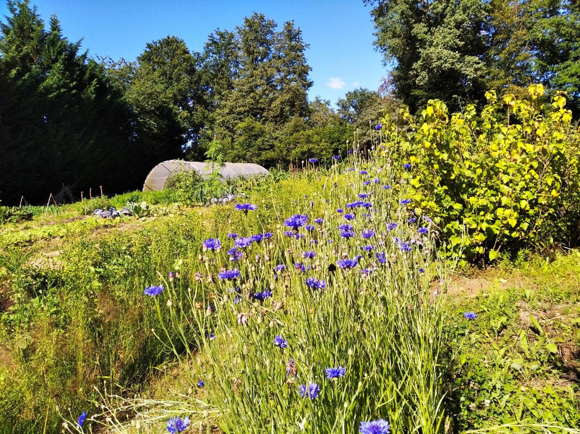 Tente Trappeur Ada, Au Jardin De La Vouivre Saint-Vincent-en-Bresse Luaran gambar