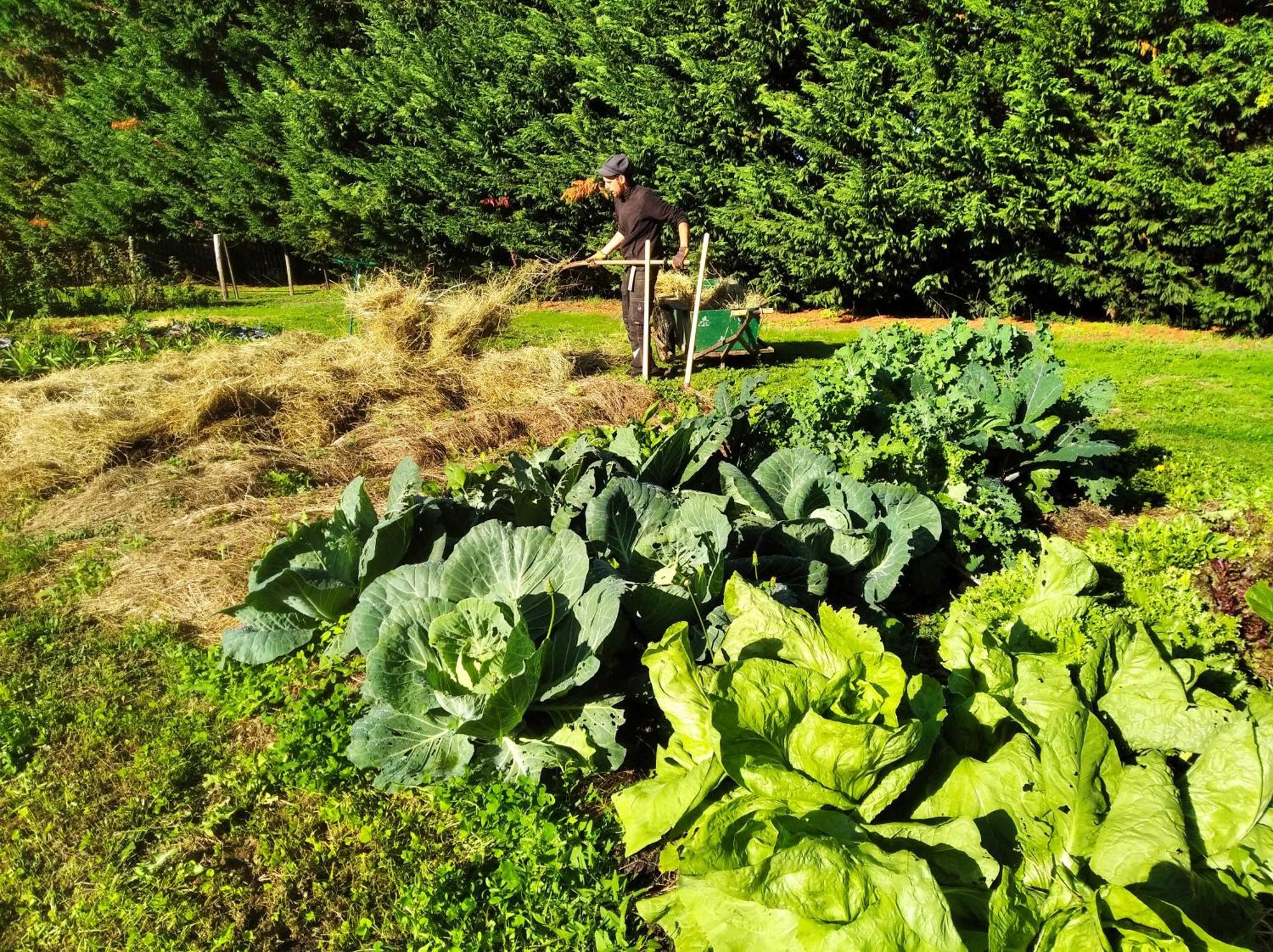 Tente Trappeur Ada, Au Jardin De La Vouivre Saint-Vincent-en-Bresse Luaran gambar