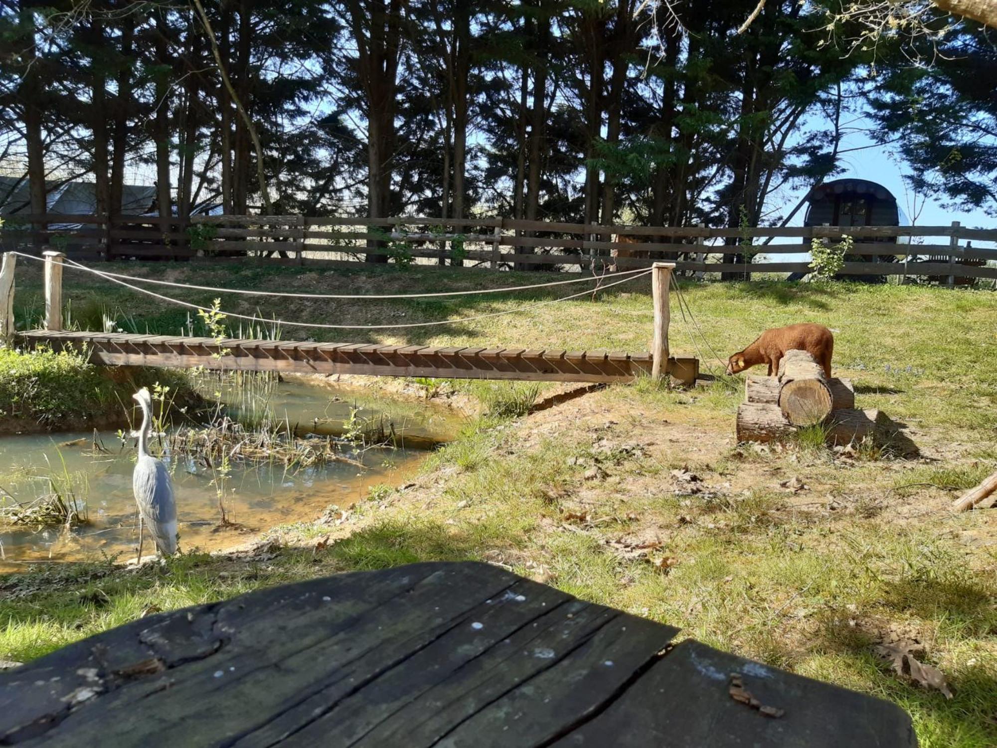 Tente Trappeur Ada, Au Jardin De La Vouivre Saint-Vincent-en-Bresse Luaran gambar