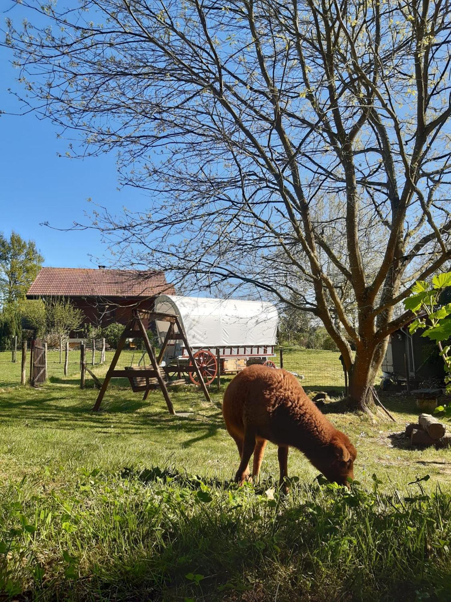 Tente Trappeur Ada, Au Jardin De La Vouivre Saint-Vincent-en-Bresse Luaran gambar